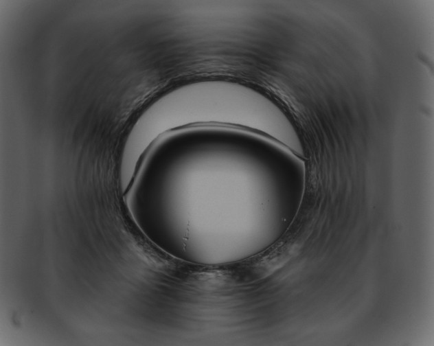 X0000093380411200710191138