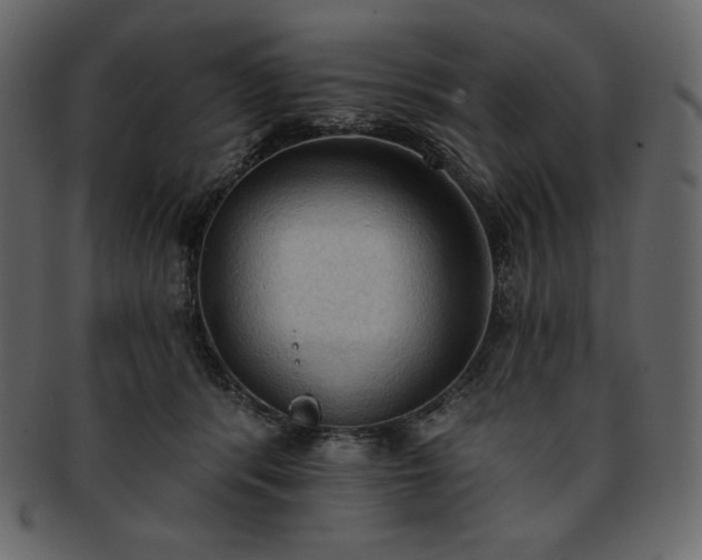 X0000093380416200710191138