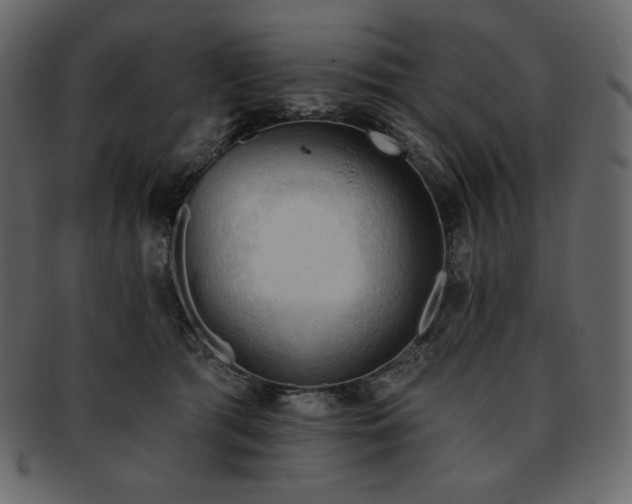 X0000093380417200710191138