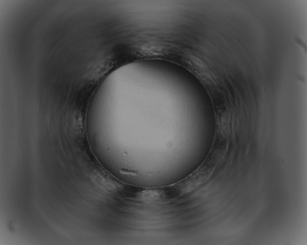 X0000093380418200710191138