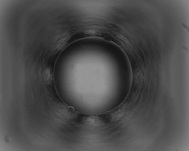 X0000093380420200710191138