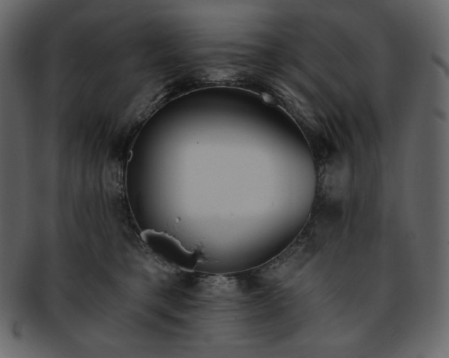 X0000093380421200710191138