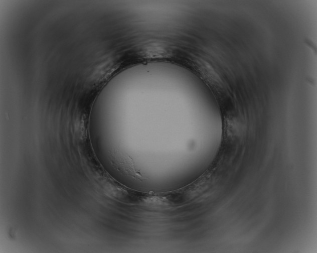 X0000093380422200710191138