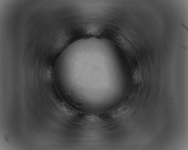 X0000093380424200710191138