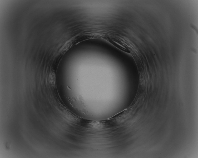 X0000093380425200710191138