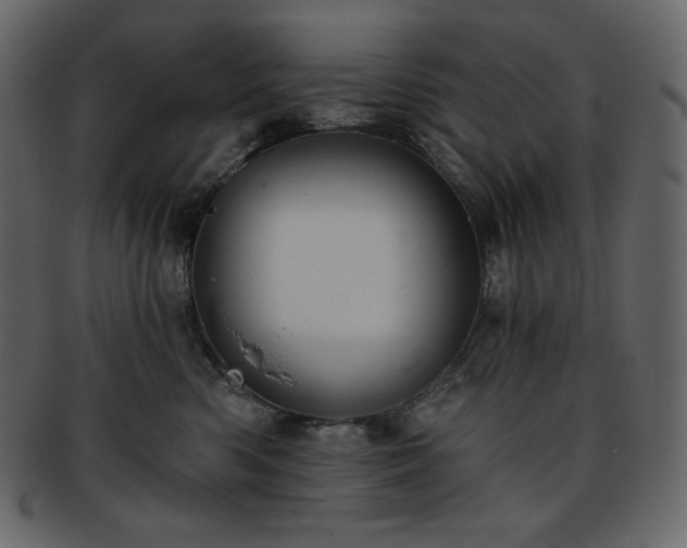 X0000093380426200710191138