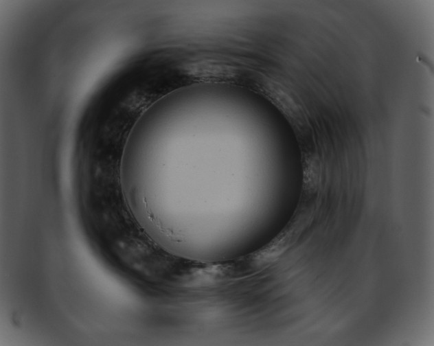 X0000093380430200710191138