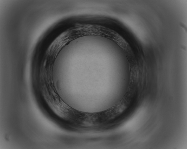 X0000093380431200710191138