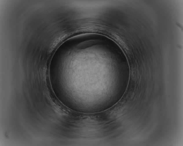 X0000093380434200710191137