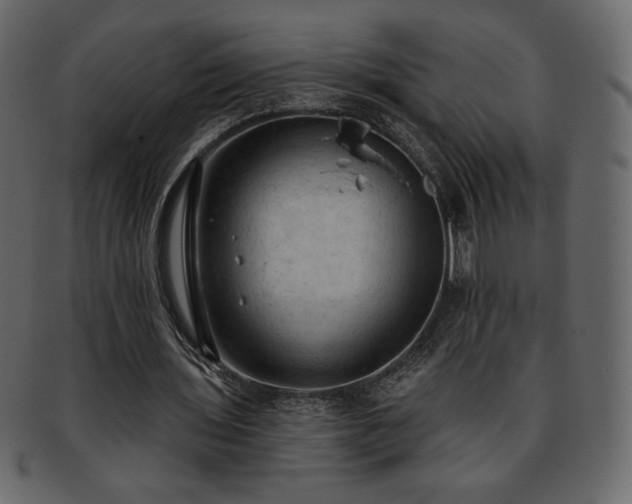 X0000093380435200710191137