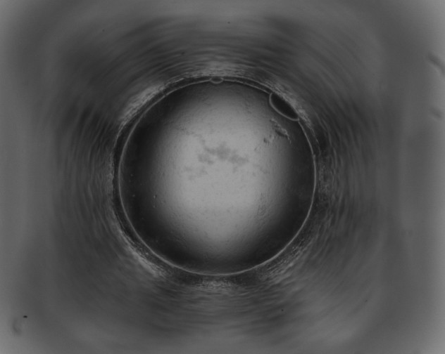 X0000093380437200710191137