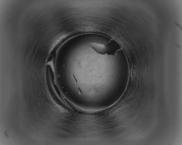 X0000093380438200710191137