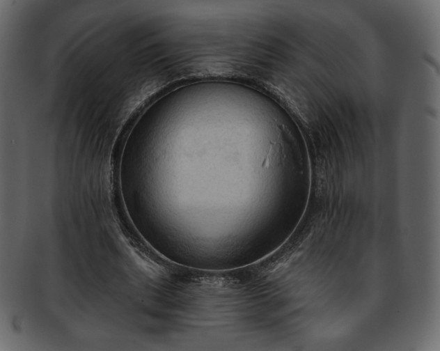 X0000093380439200710191137