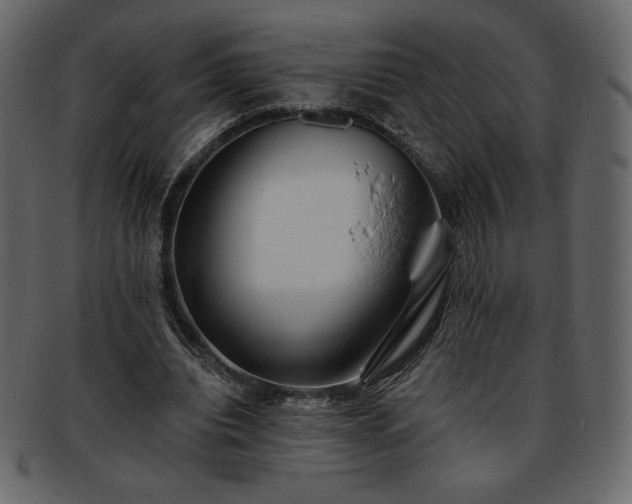 X0000093380440200710191137