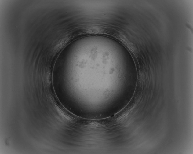 X0000093380441200710191137