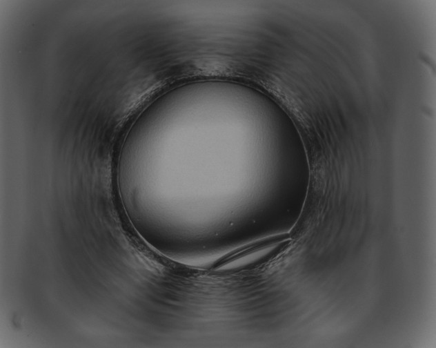 X0000093380442200710191137