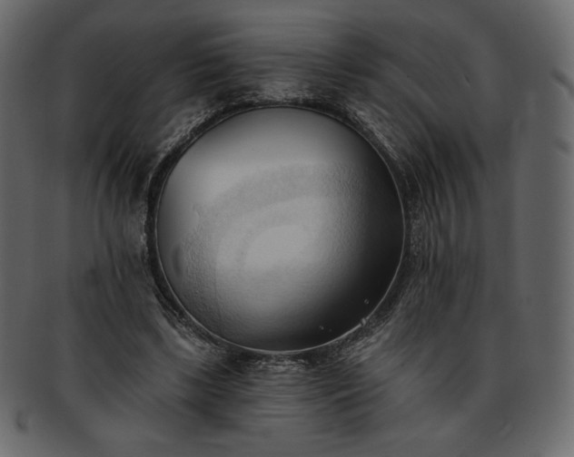 X0000093380443200710191137