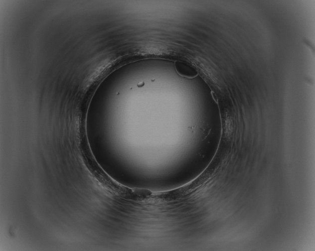 X0000093380444200710191137