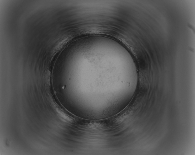 X0000093380445200710191137