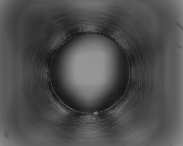 X0000093380449200710191137