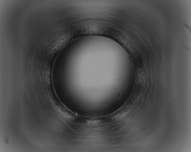 X0000093380450200710191138