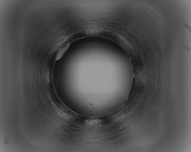 X0000093380452200710191138