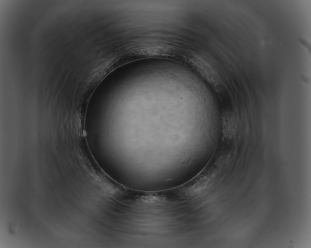 X0000093380453200710191138