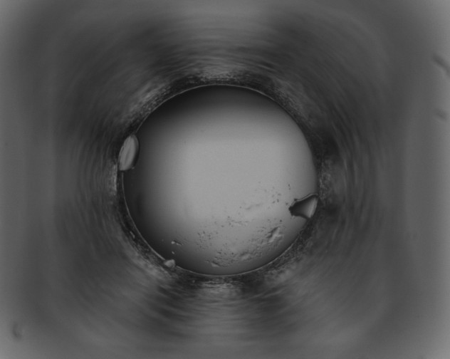 X0000093380454200710191138