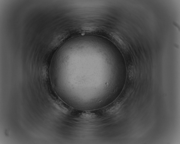 X0000093380455200710191138