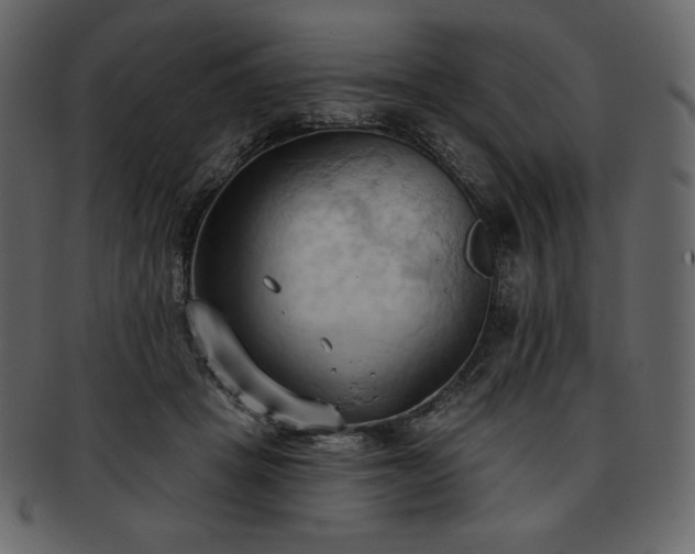 X0000093380457200710191138