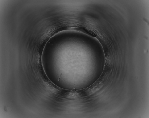 X0000093380458200710191138