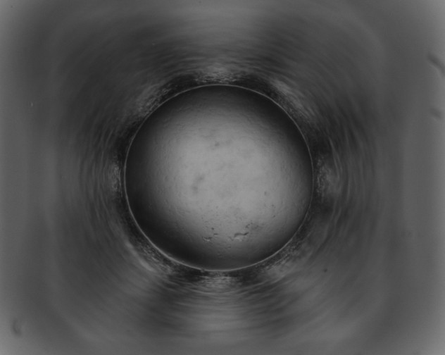 X0000093380459200710191138