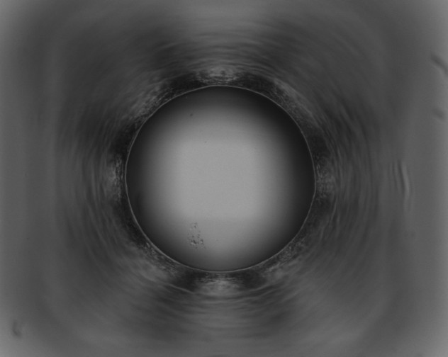 X0000093380460200710191138