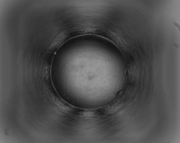 X0000093380462200710191138