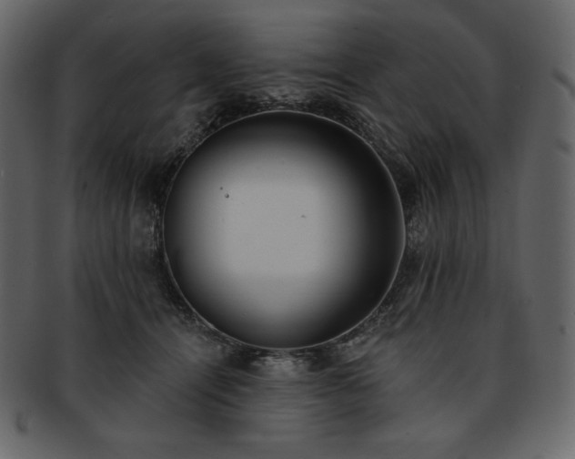 X0000093380464200710191138