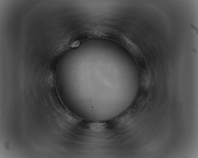 X0000093380465200710191138