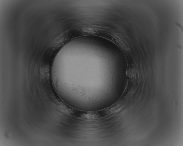 X0000093380466200710191138