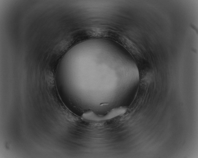 X0000093380469200710191138