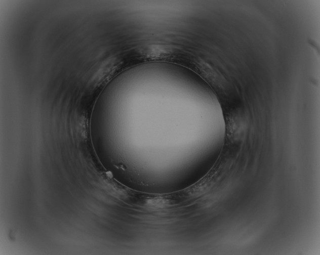 X0000093380470200710191138