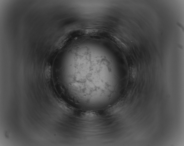 X0000093380475200710191138