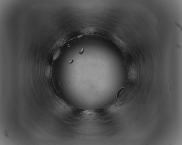 X0000093380477200710191138