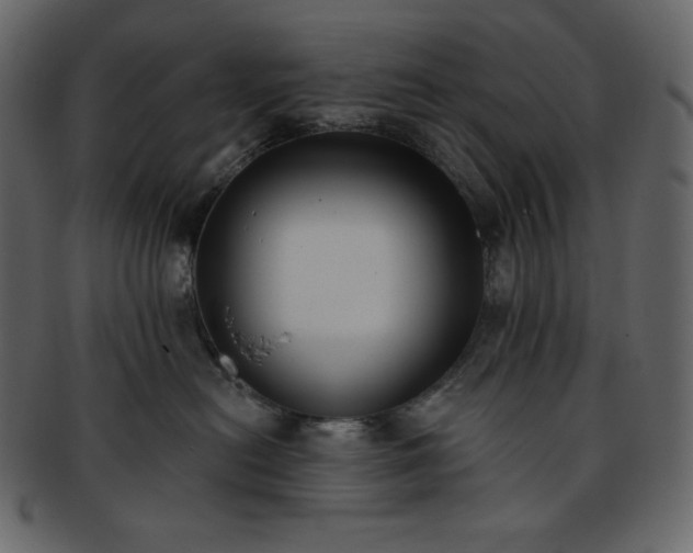 X0000093380478200710191138