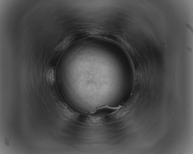 X0000093380479200710191138