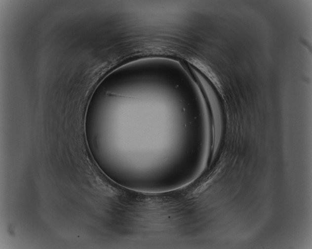 X0000093380481200710191137