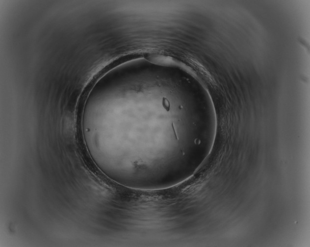 X0000093380484200710191137