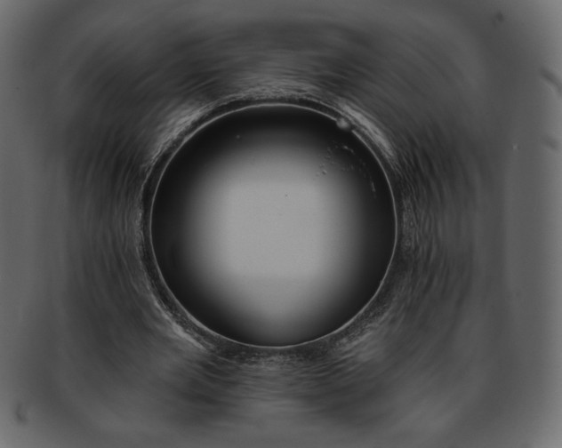 X0000093380485200710191137