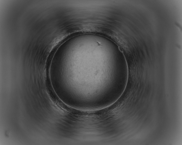 X0000093380488200710191137