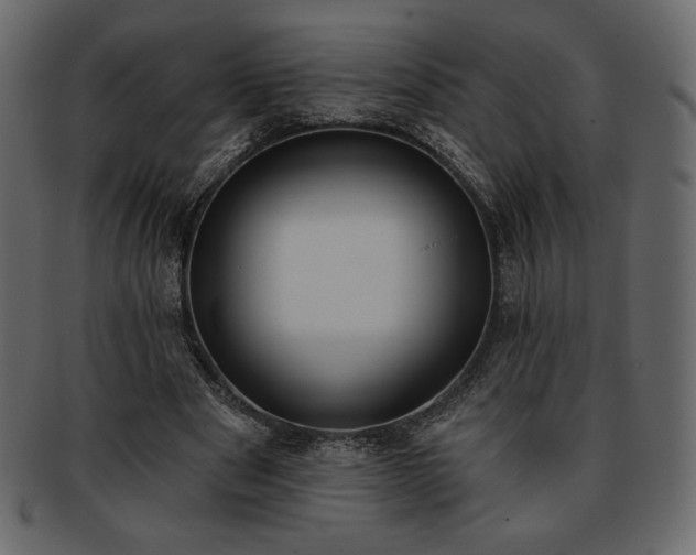 X0000093380489200710191137