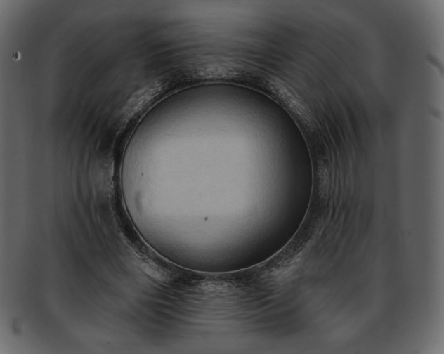 X0000093380490200710191137