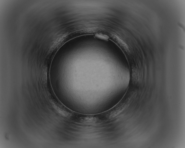 X0000093380493200710191137